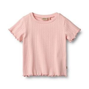 Wheat - Rib T-Shirt S/S Irene Rose Sprinkle|125788