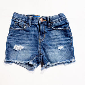 Old Navy Shorts 4Y|153433