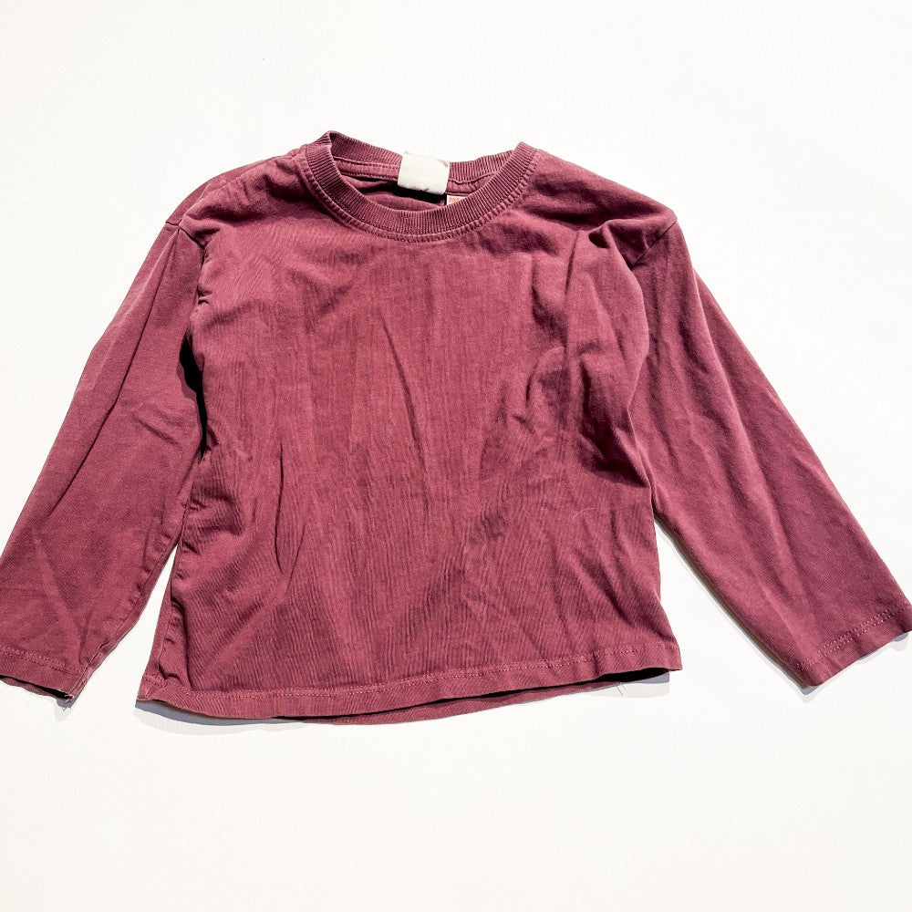 Zara Shirt 2-3Y|189991