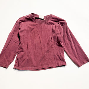 Zara Shirt 2-3Y|189991