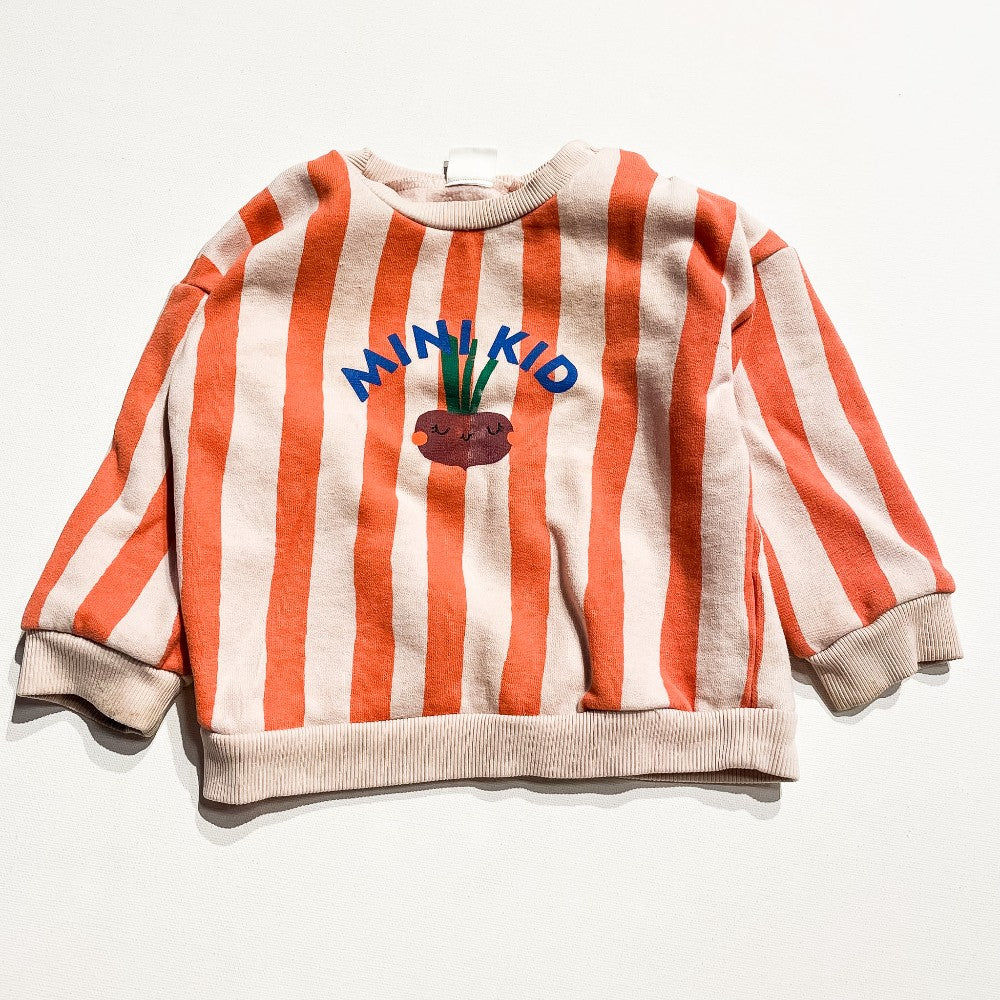 Next Baby Sweatshirt 12-18M **Imeprfection|215222