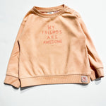 Zara Sweatshirt 3-4Y|205567