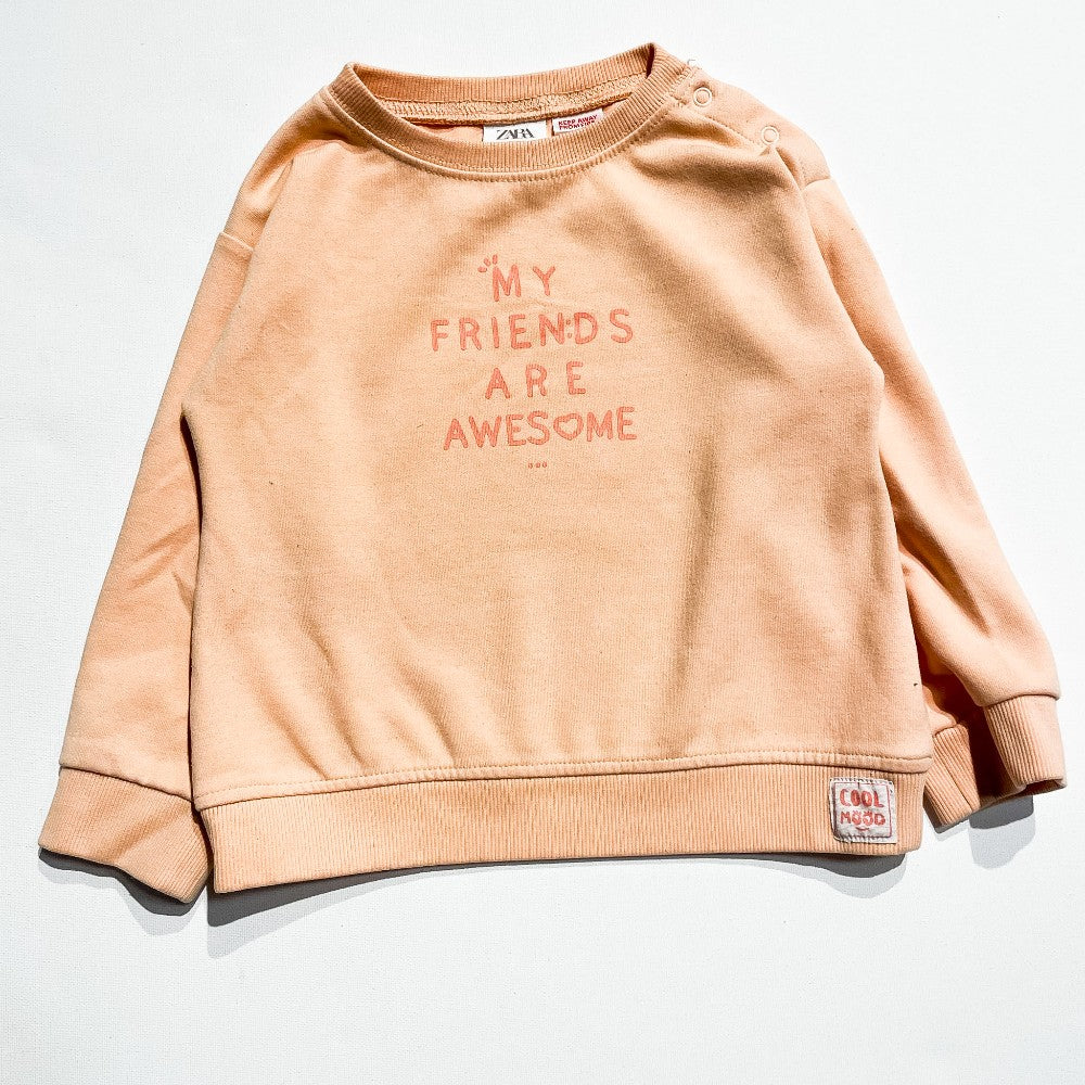 Zara Sweatshirt 3-4Y|205567