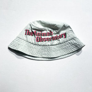 The Animals Observatory Hat Toddler **Reg $74|206812