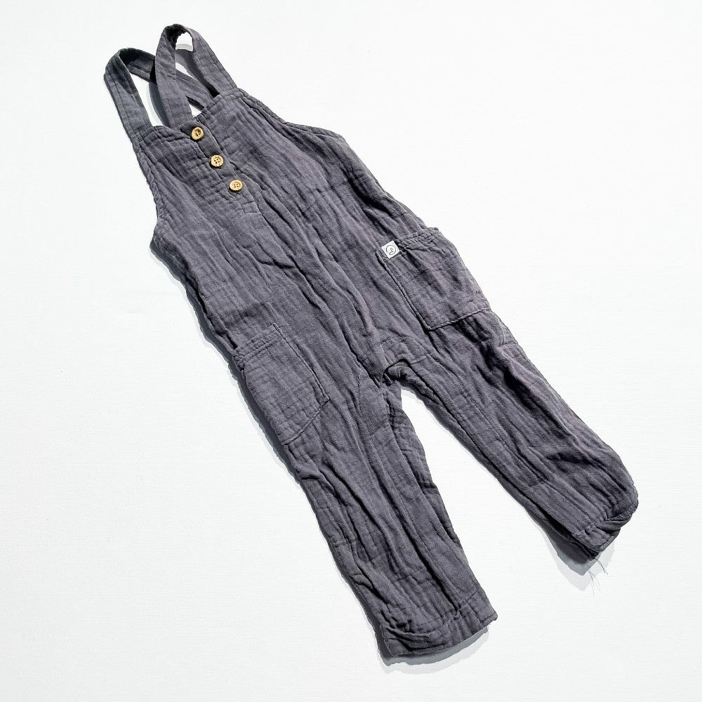 Carter's Overalls 12M|225708