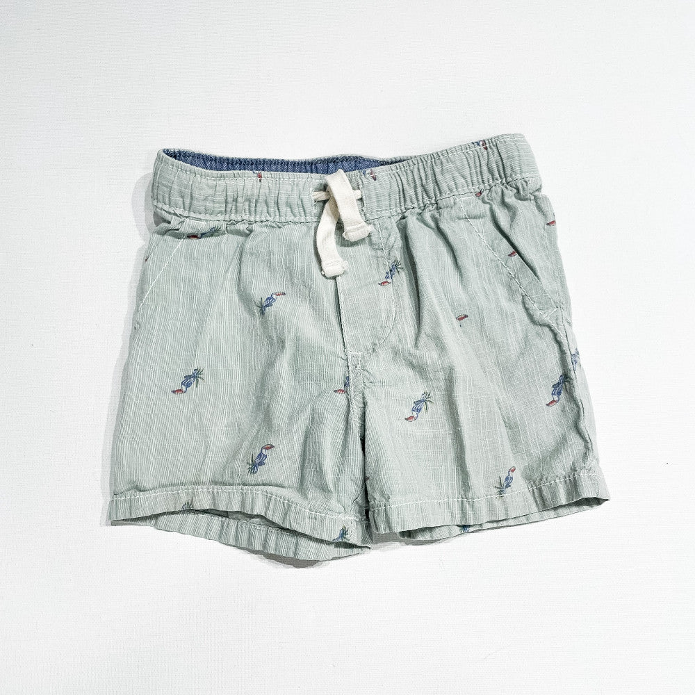 Carter's Shorts 18M|234929