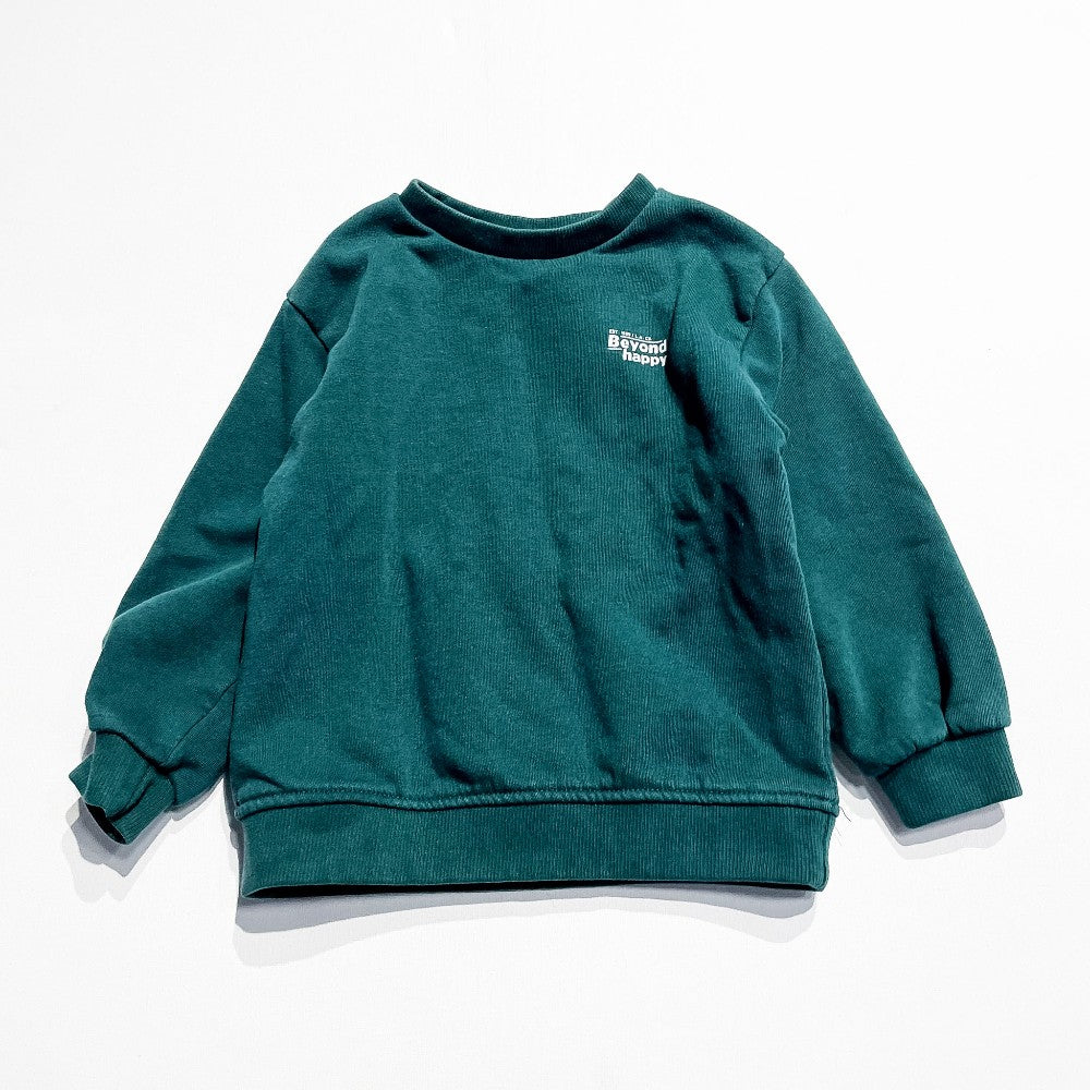 Zara Sweatshirt 2-3Y|222180