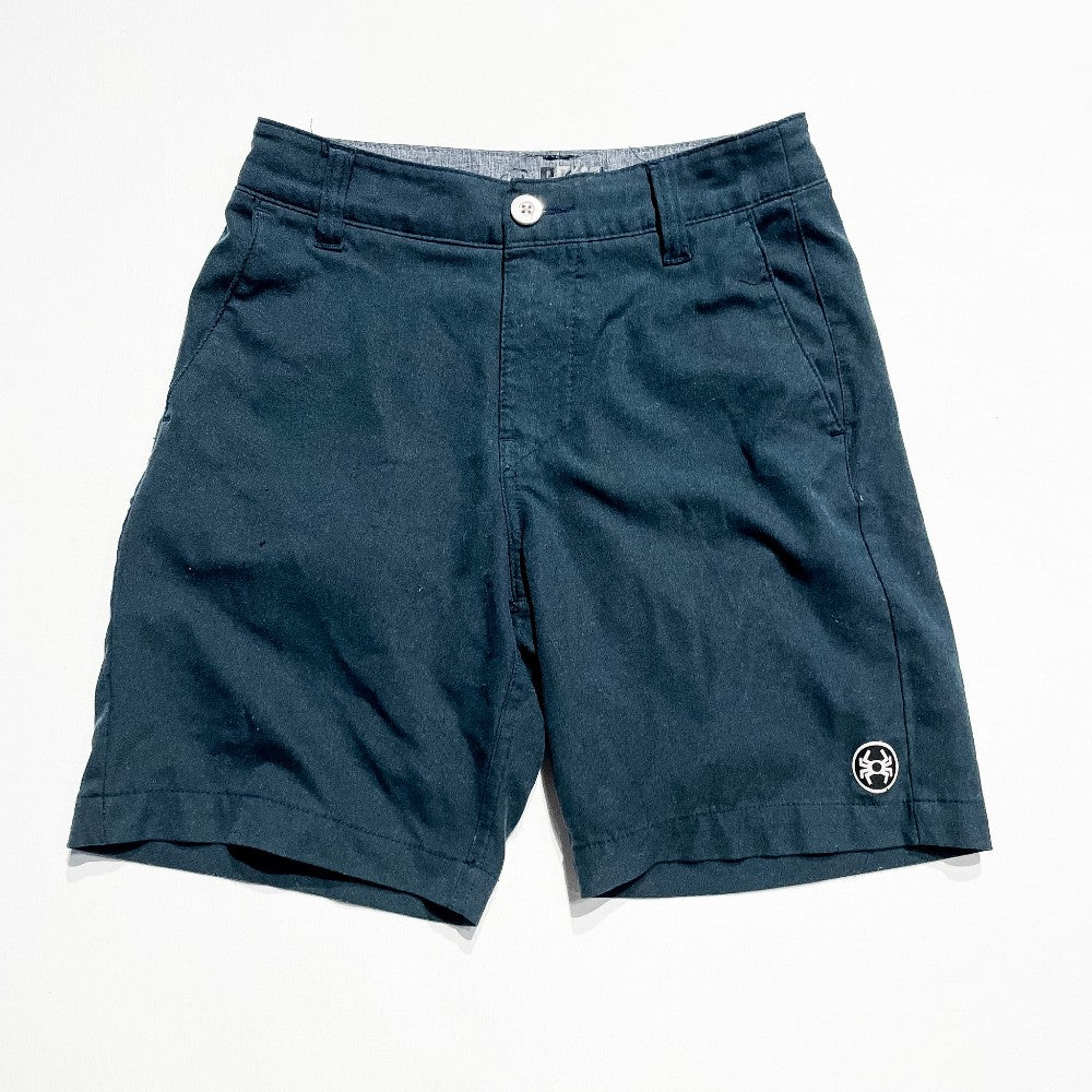 SPDR Shorts 8Y|212477