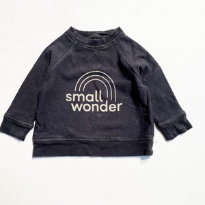 Silk Berry Sweatshirt 3-6M|116722