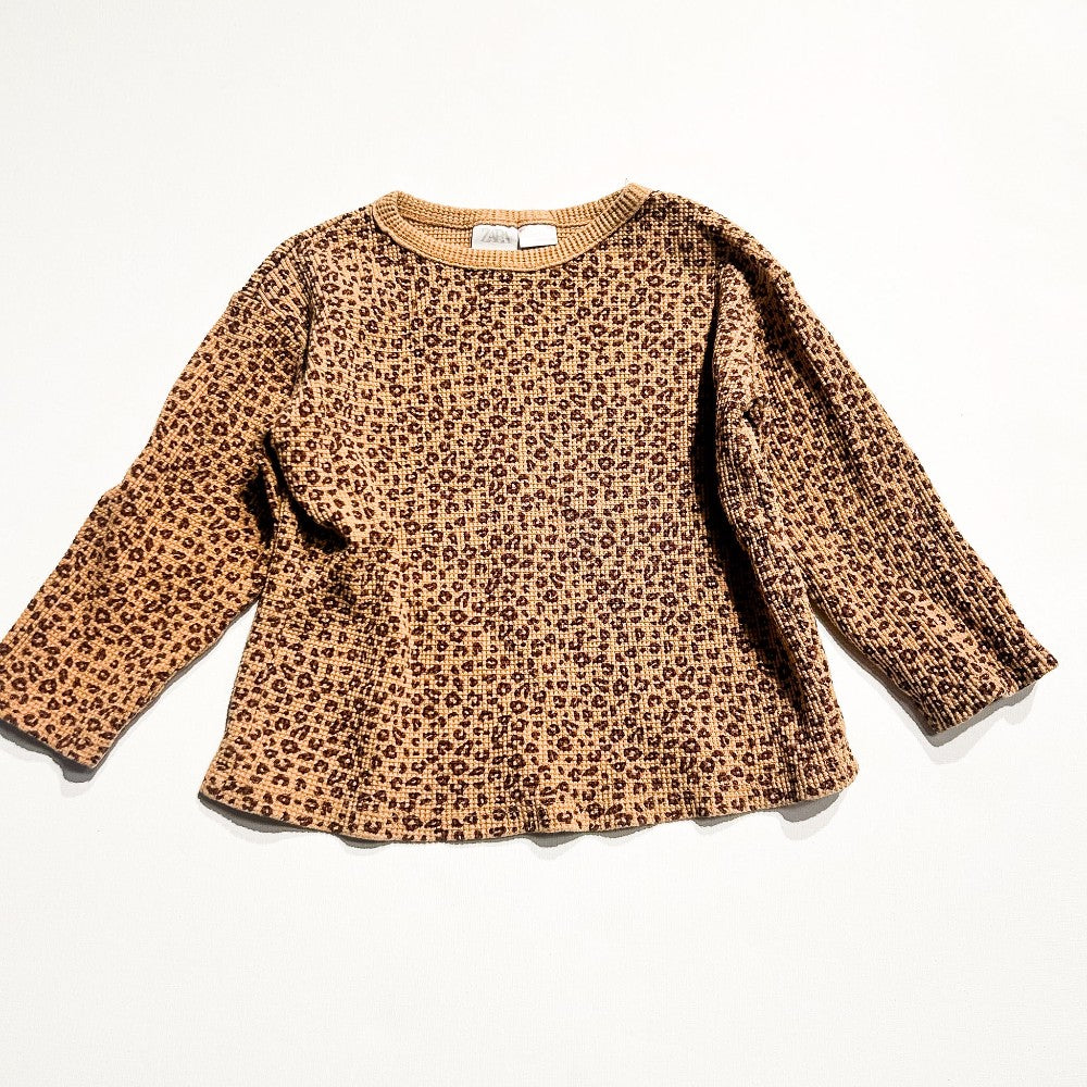 Zara Shirt 2-3Y|208484