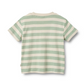 Wheat - T-shirt S/S Liam Mint Stripe|191238