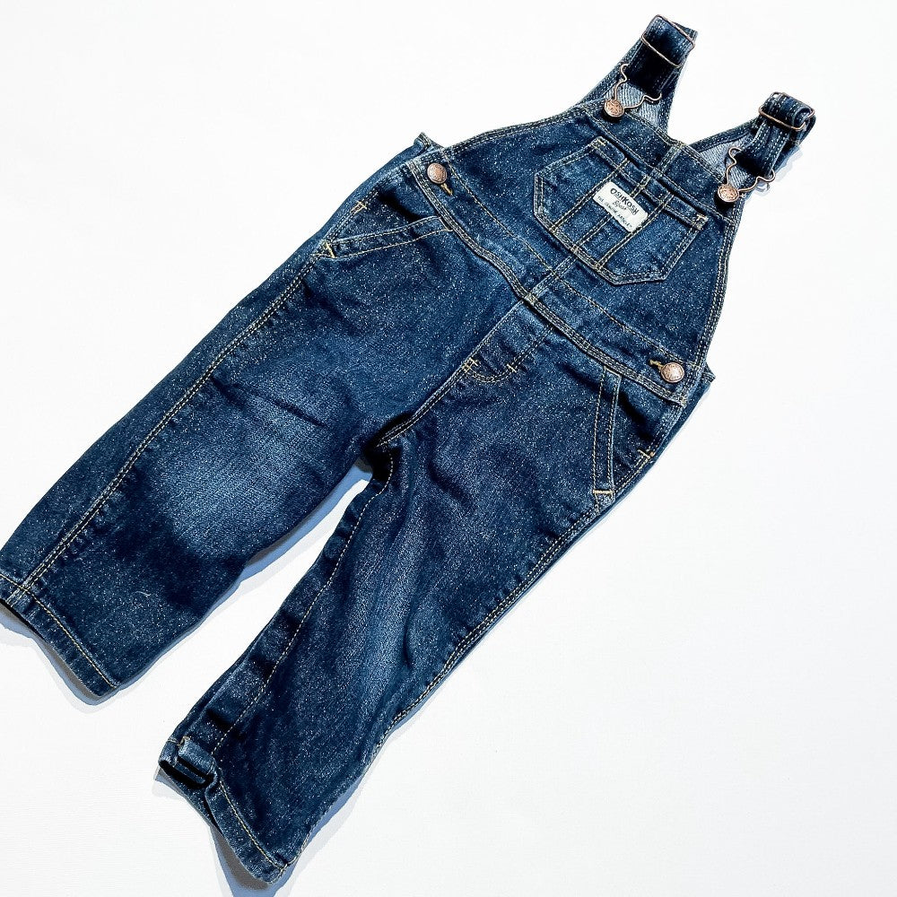 Oshkosh Overalls 12M|193283