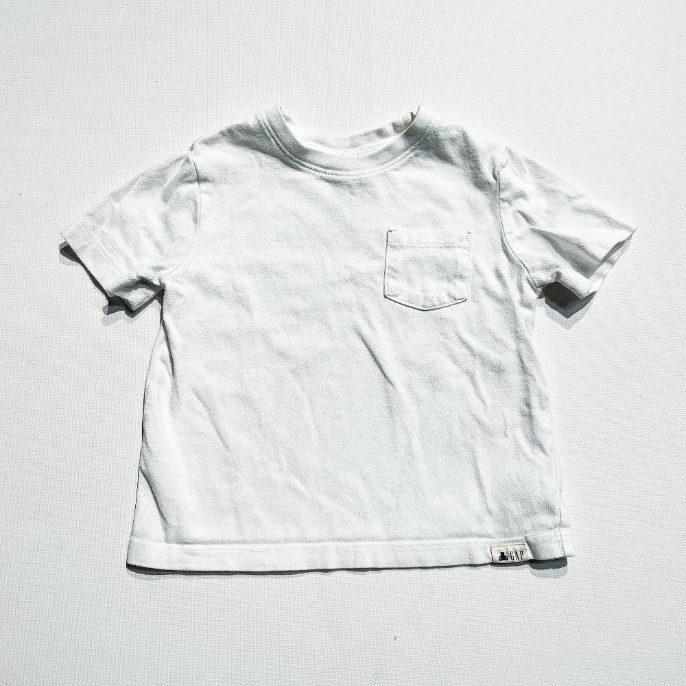 Gap Shirt 2Y|230498