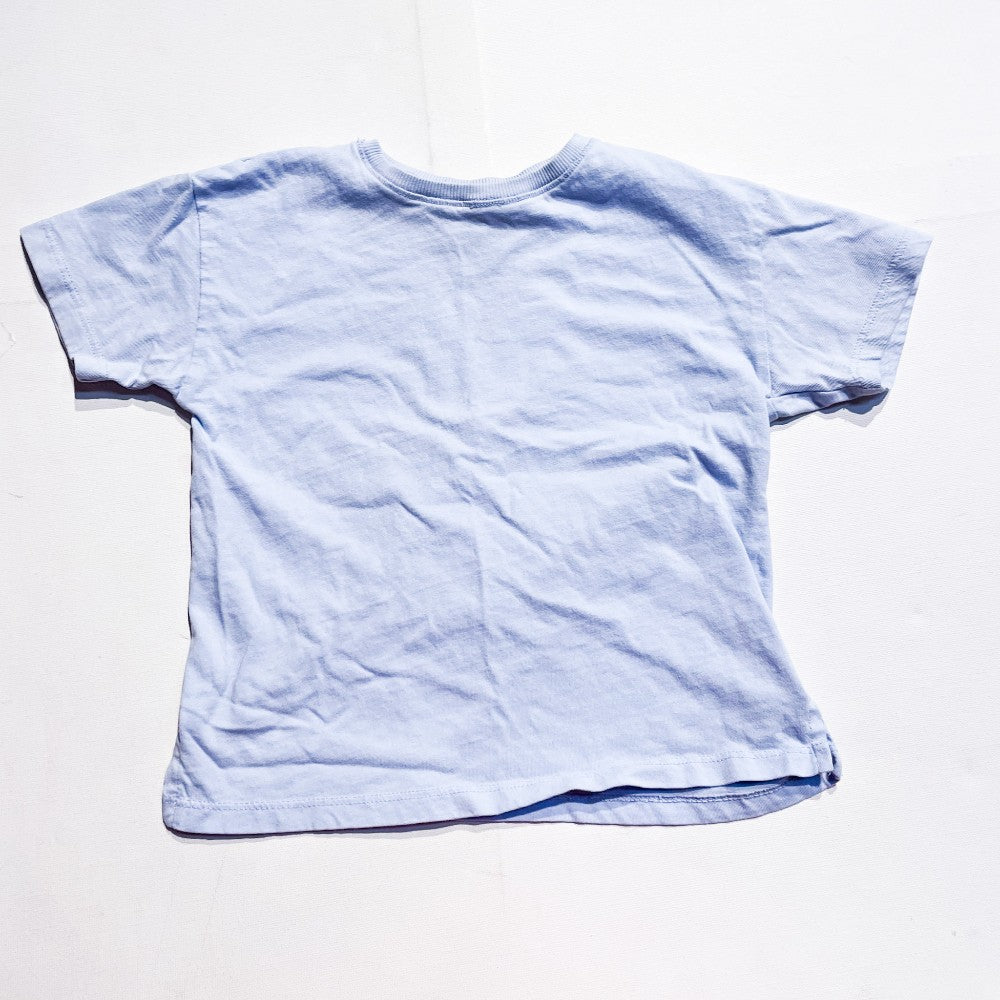 Zara Shirt 3-4Y|179153