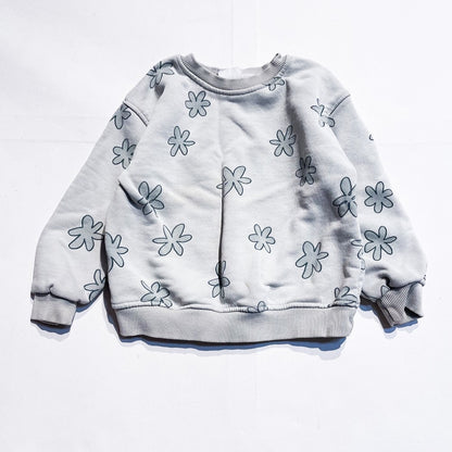 Zara Sweatshirt 3-4Y **Imeprfection|181617