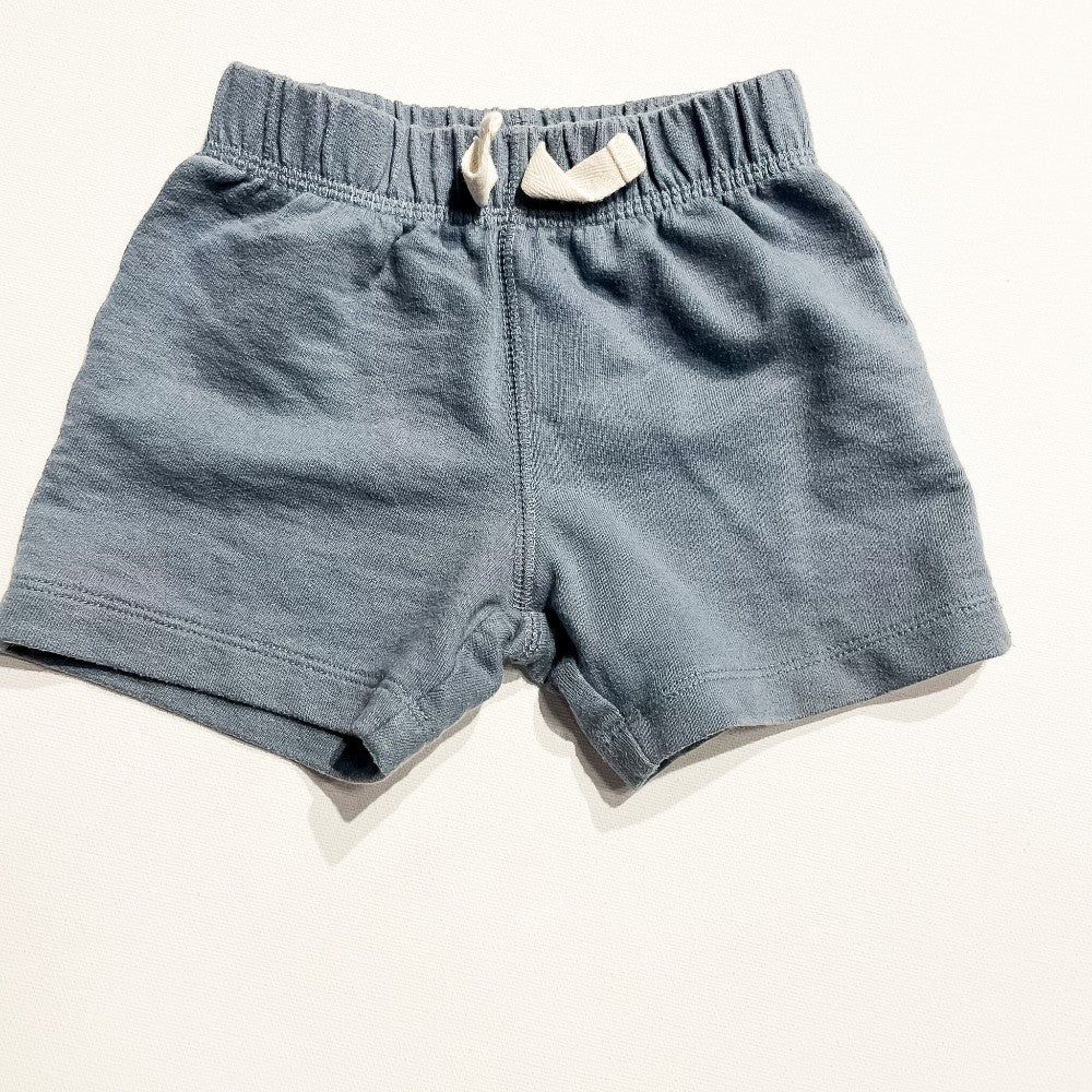 Carters Shorts 12M|216572