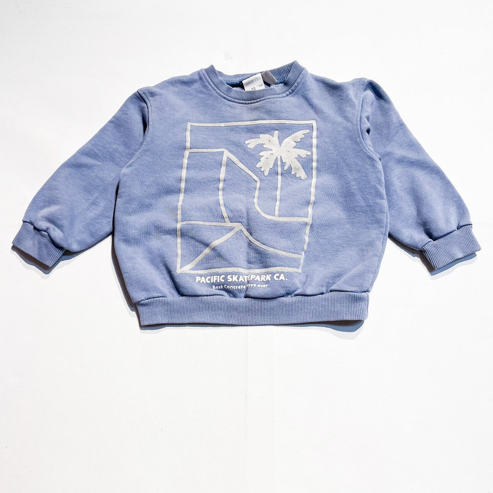 Zara Sweatshirt 4-5Y|180738