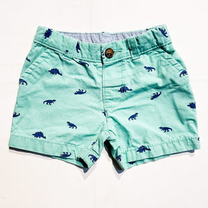 Carters Shorts 9M|149420