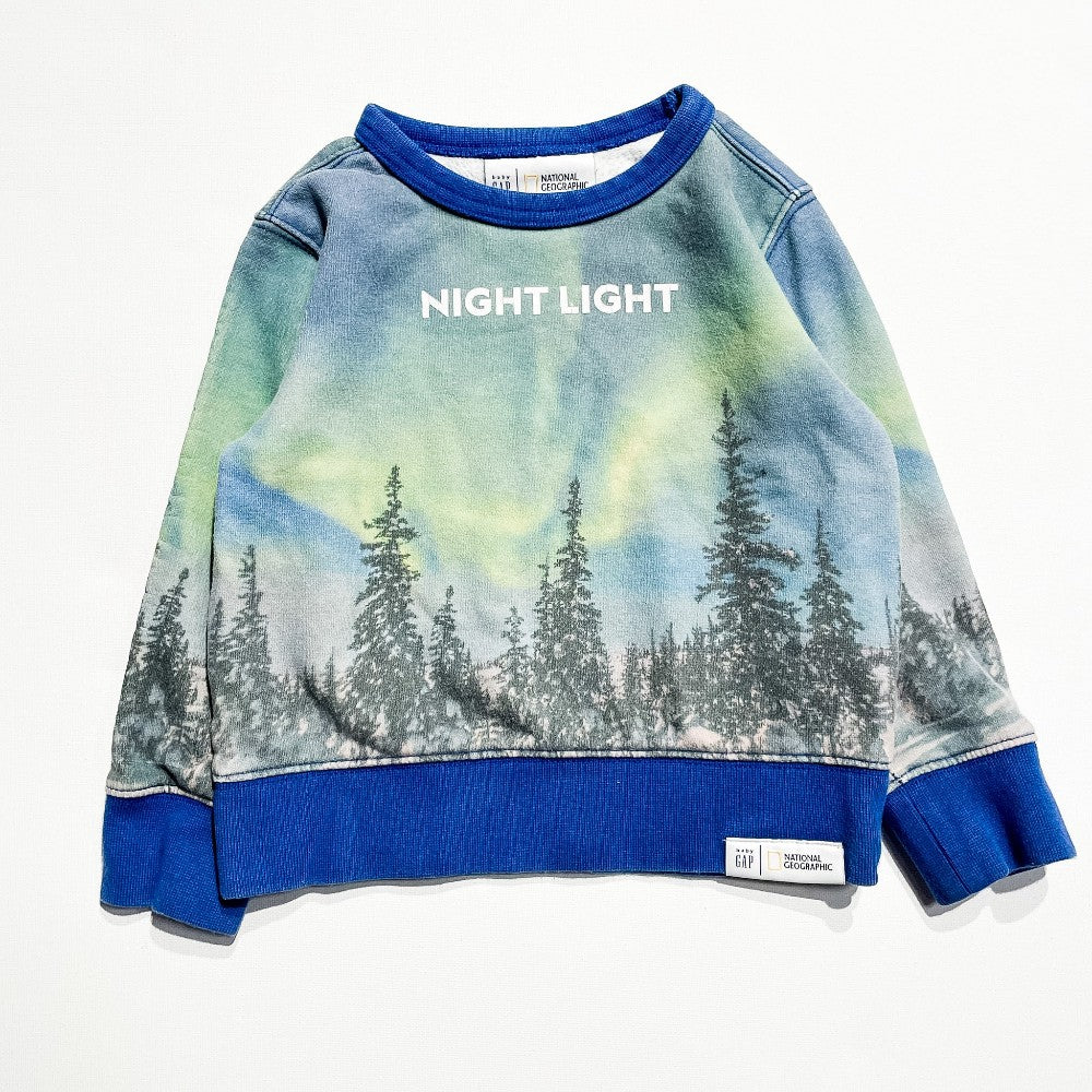 Gap Sweatshirt 2Y|205722