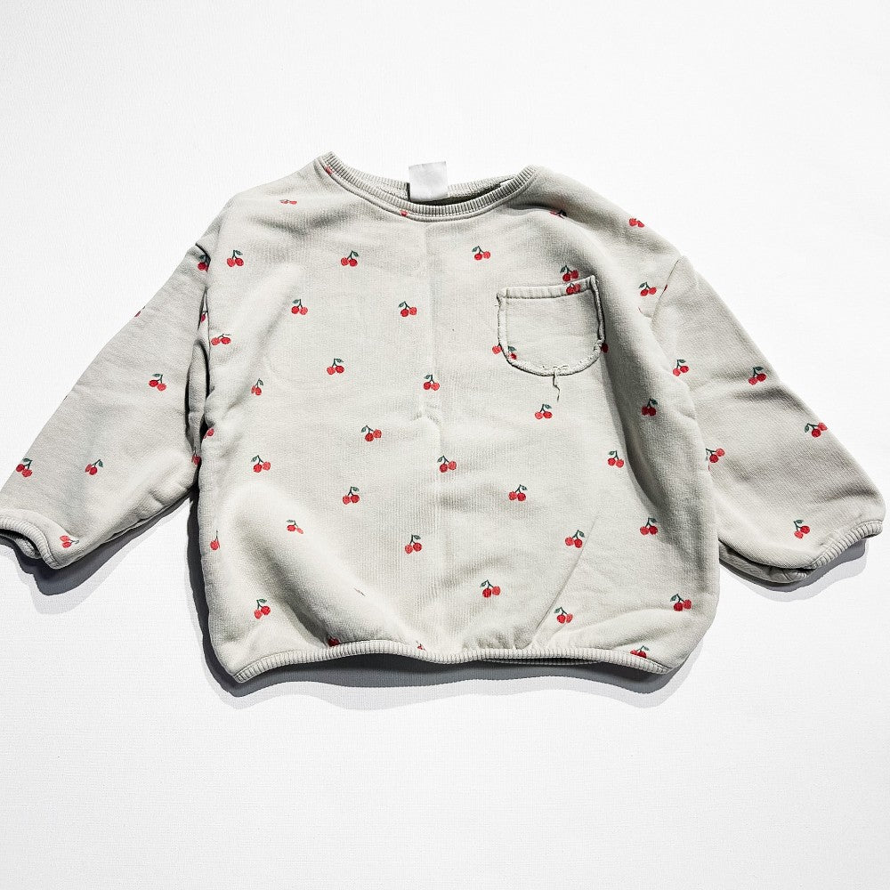 Zara Sweatshirt 4-5Y|208898