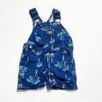 Oshkosh Overalls 9M|217654