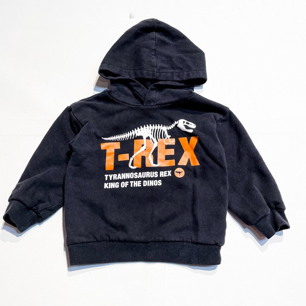 H&M Hoodie 2-4Y|169240