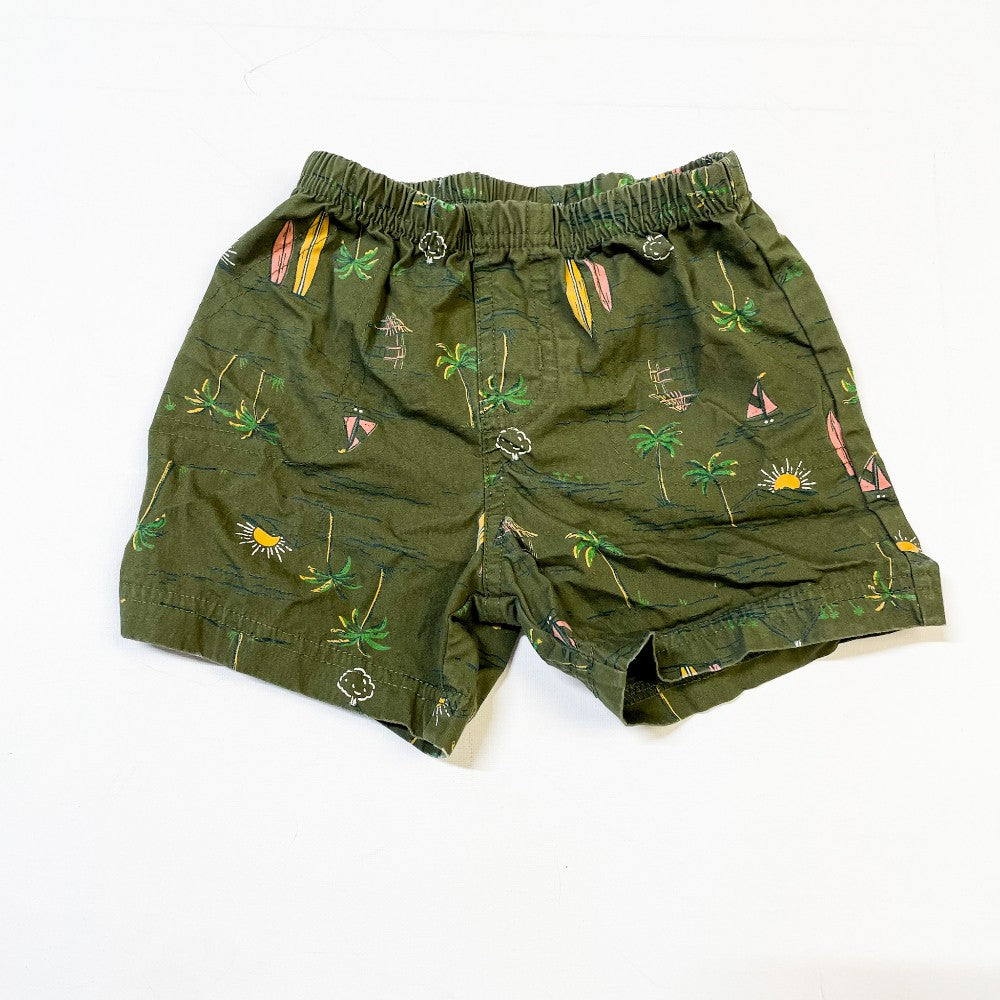 Carters Shorts 12M|173007
