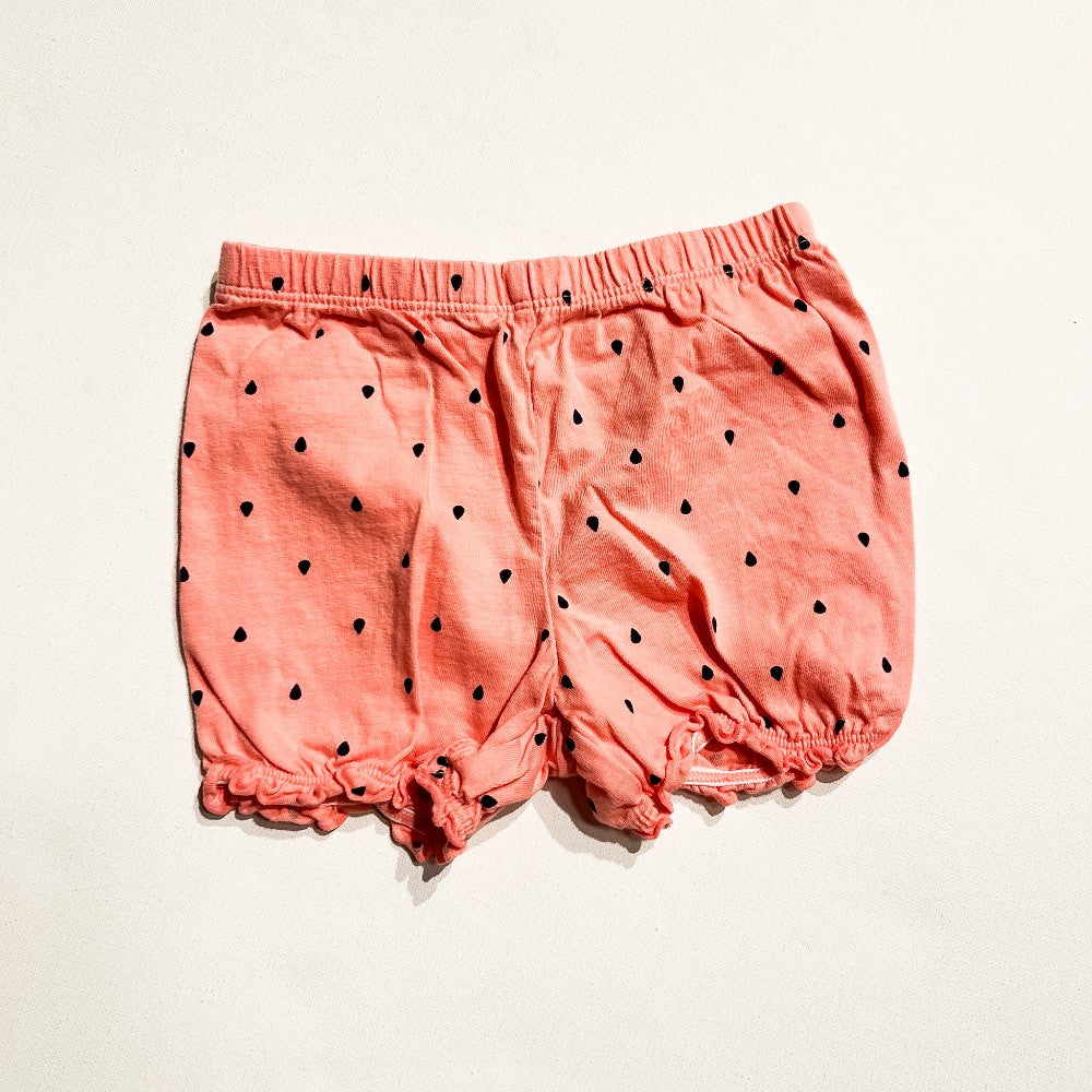 Carters Shorts 24M|208306
