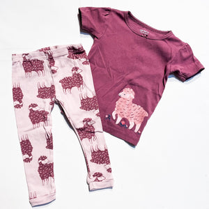 Carters Sleep Set 18M|153771