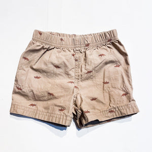 Carters Shorts 18M|160383
