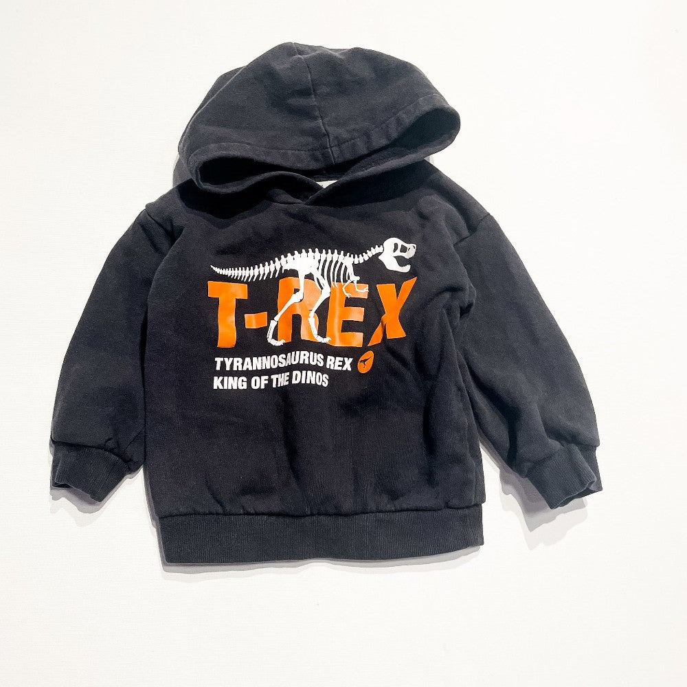 H&M Hoodie 2-4Y|216784