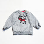 Littlest Sweatshirt 12-18M|162804