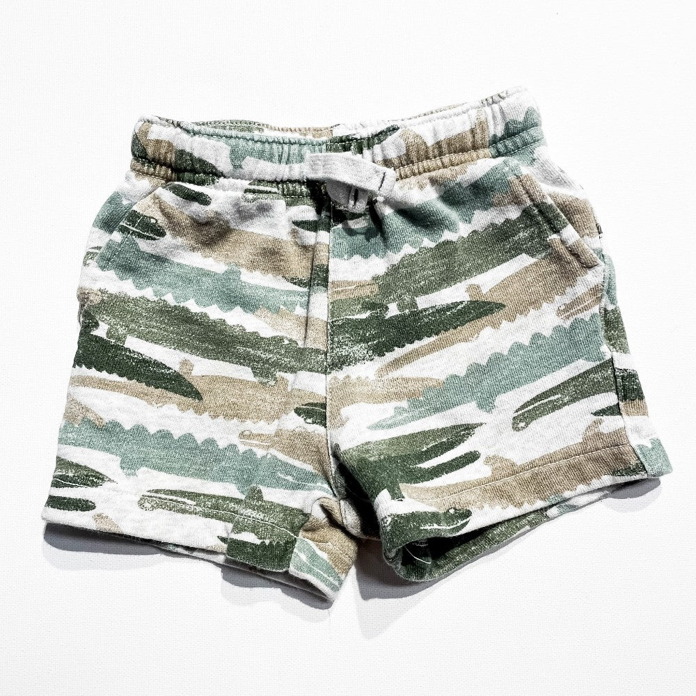 Carters Shorts 12M|198516
