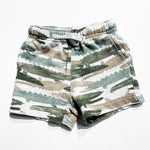 Carters Shorts 12M|198516