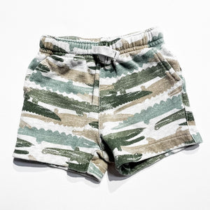 Carters Shorts 12M|198516