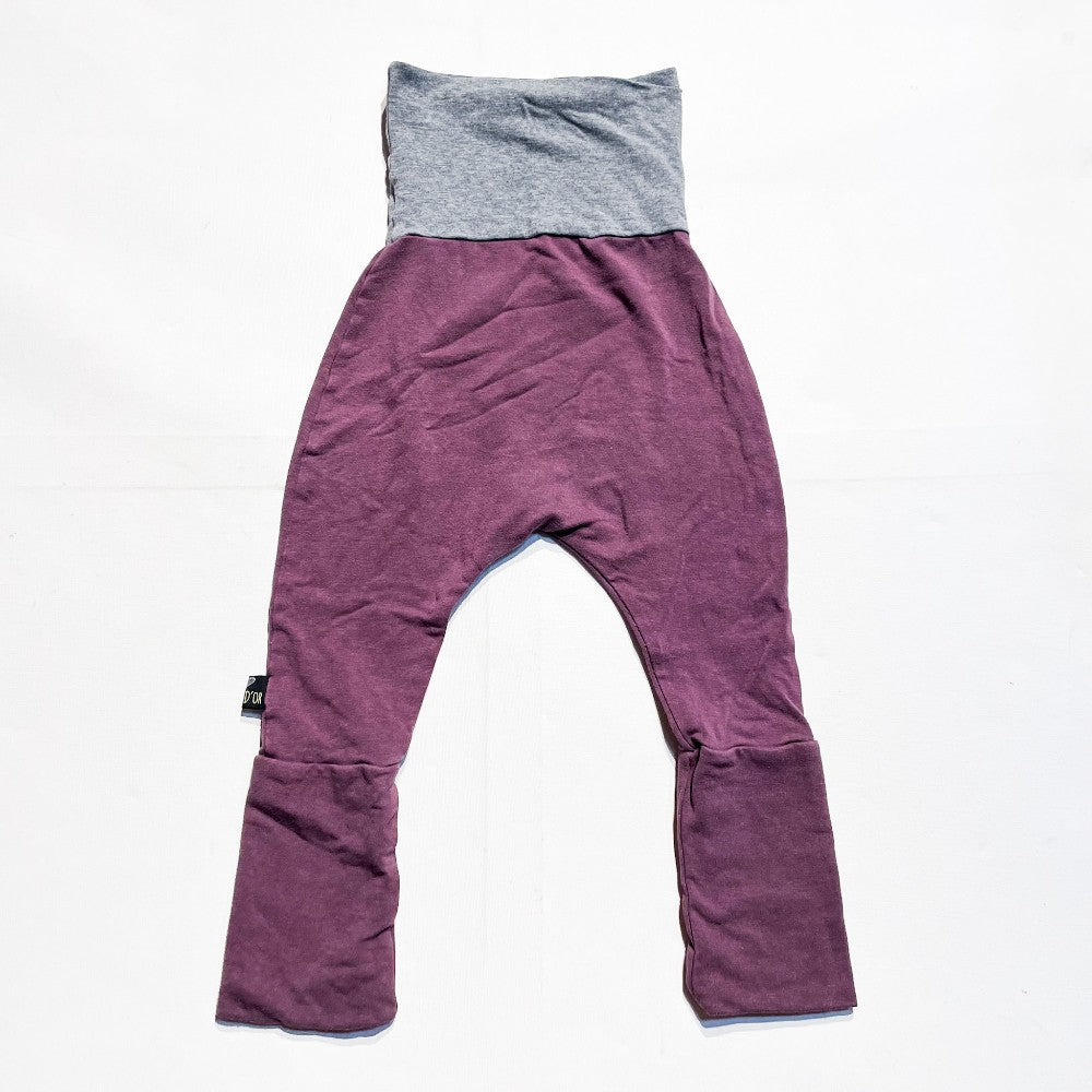 Bebe D'Or Pants 2/3Y|184989