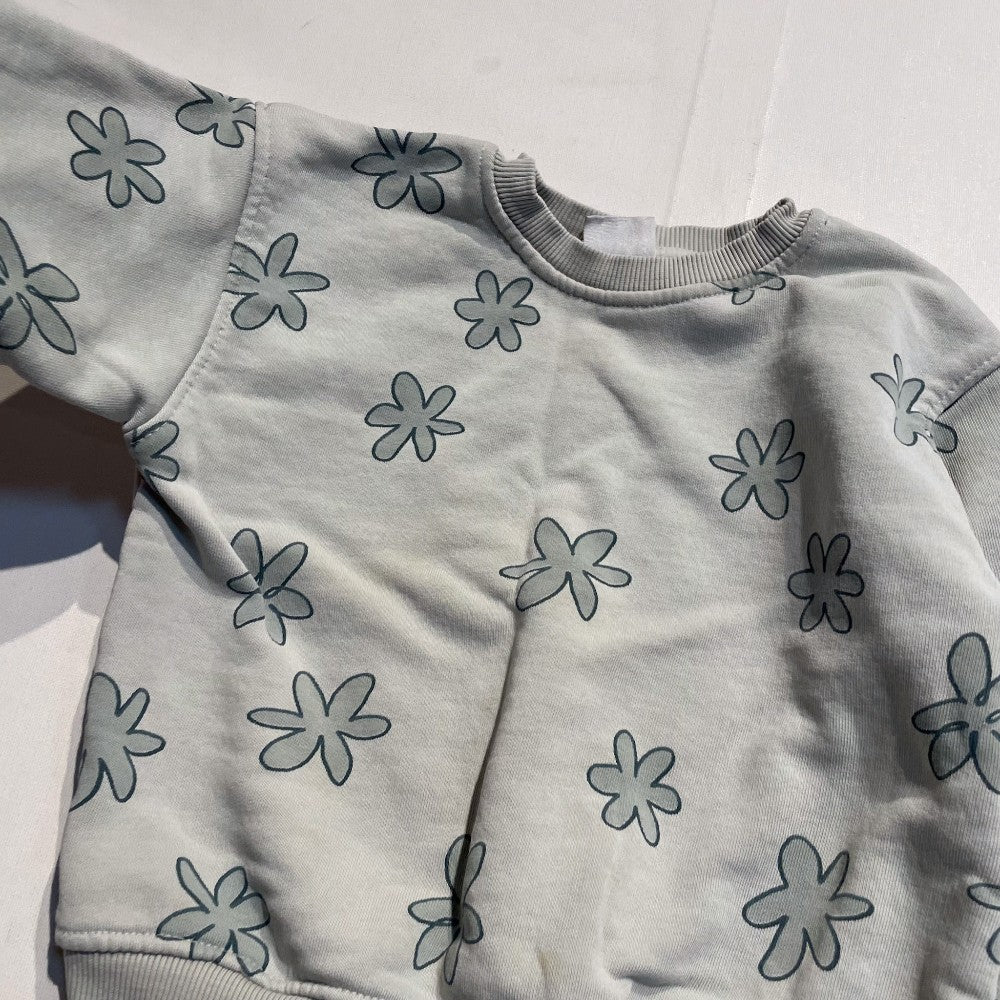 Zara Sweatshirt 3-4Y **Imeprfection|181616