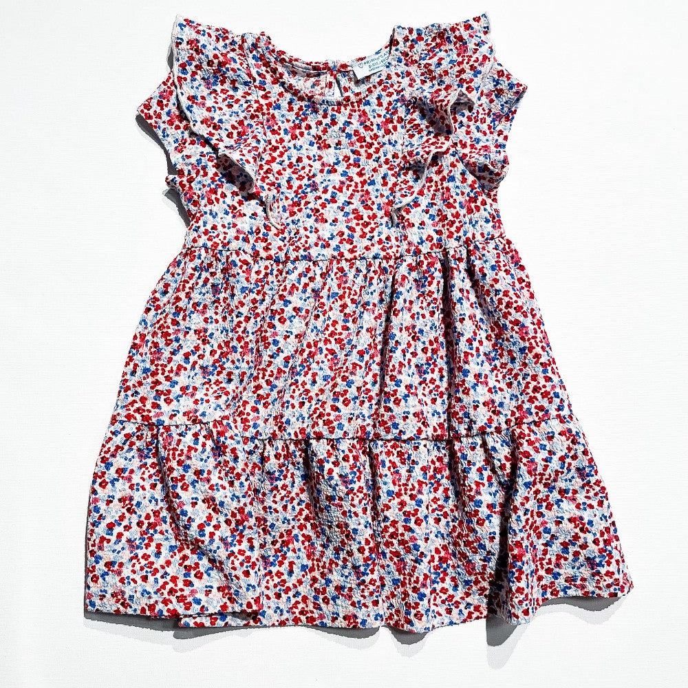 Primark Dress 2-3Y|209678