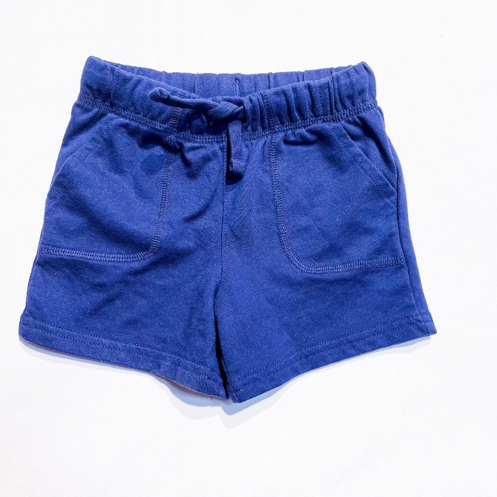 Carters Shorts 3T|122019