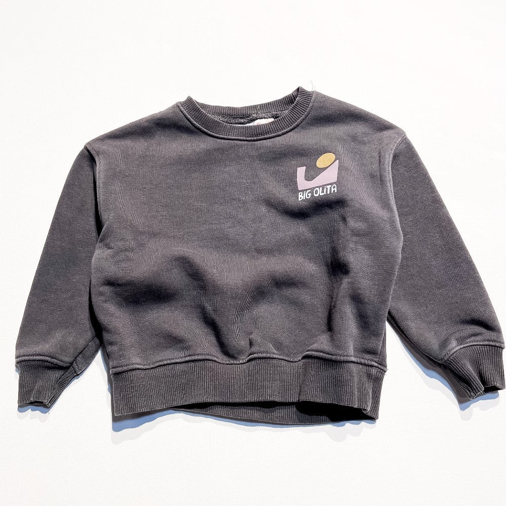 Zara Sweatshirt 2-3Y|195267