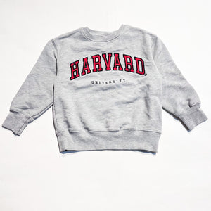 Zara Sweatshirt 7Y|138181