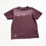 Ten Tree Top 3Y|226238