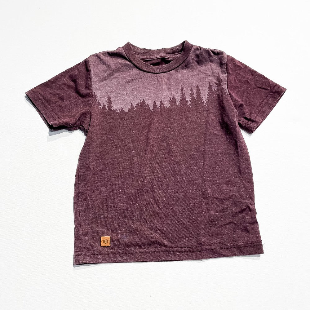 Ten Tree Top 3Y|226238