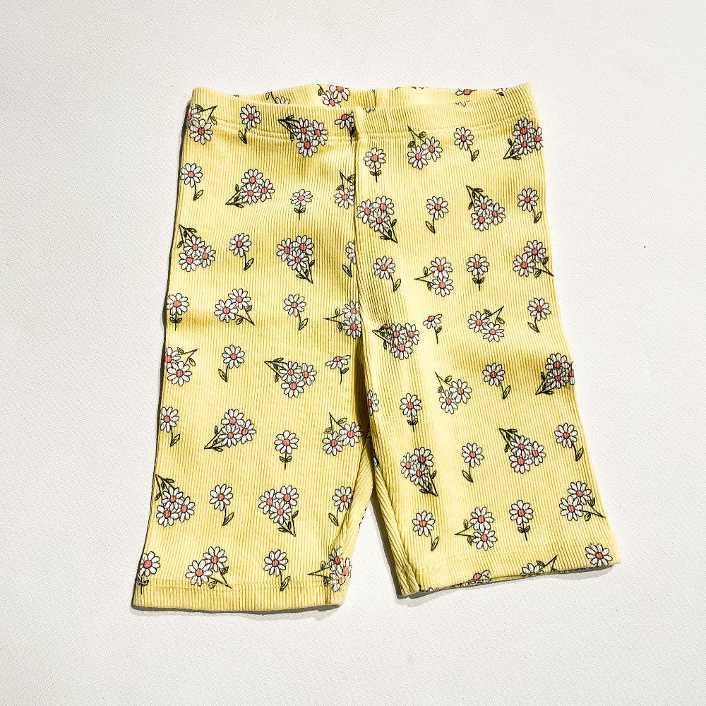 Zara Shorts 4-5Y|216613