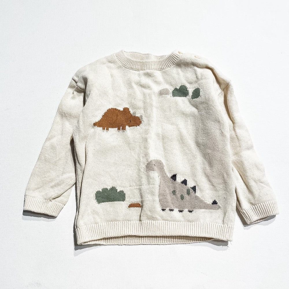 H&M Sweater 18-24M|212859
