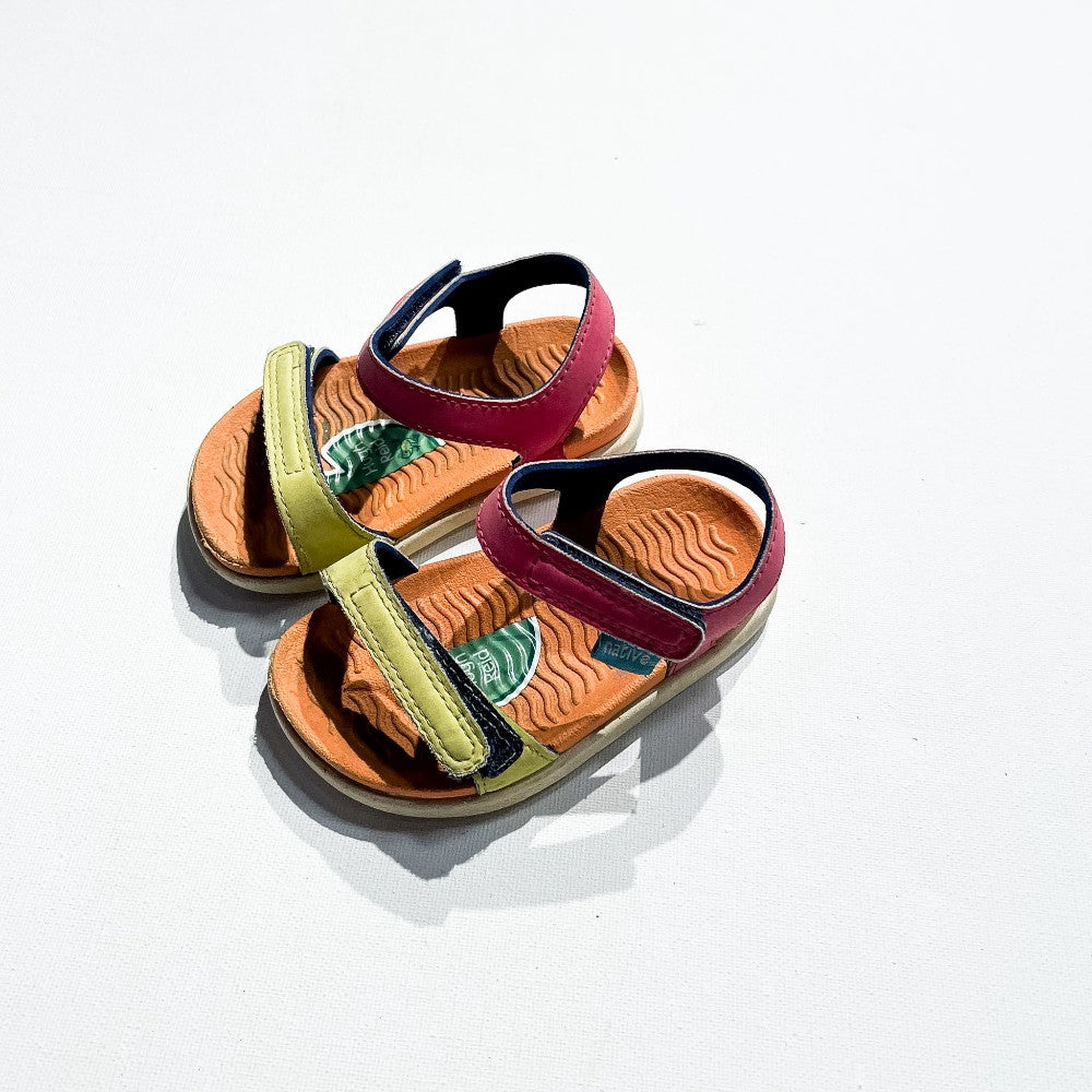 Native Shoes 6|229227