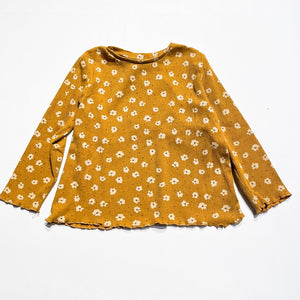 Zara SHirt 2-3Y|206252