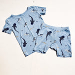 Kyte Set 3Y|159800