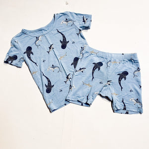 Kyte Set 3Y|159800