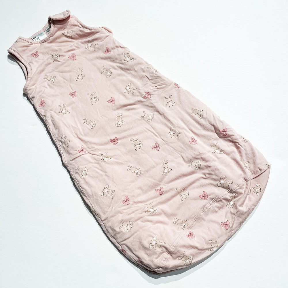 H&M Sleep Sack 2-6M|222739
